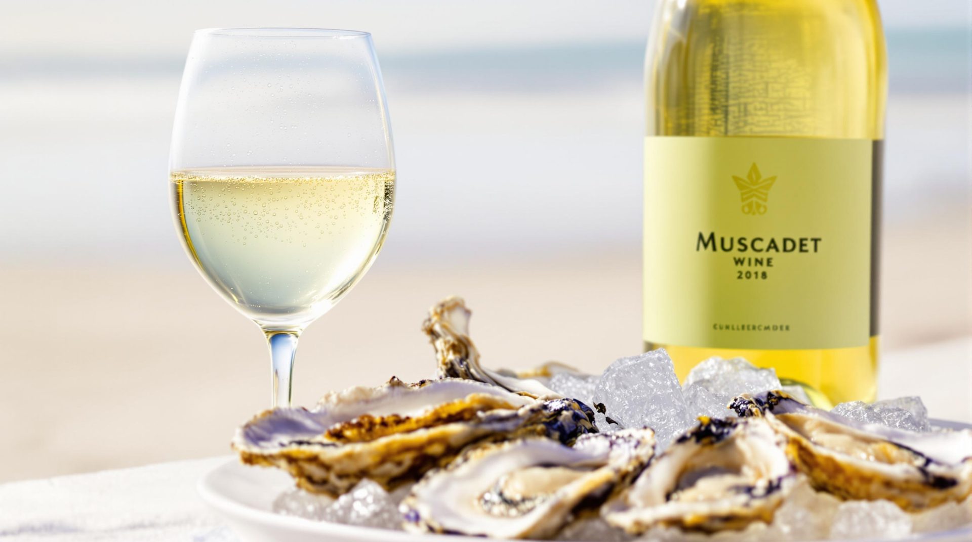 découvrez les mariages parfaits entre fruits de mer et vins pour sublimer vos repas marins. explorez nos conseils d'accords mets-vins qui mettront en valeur la fraîcheur et les saveurs de vos plats, pour une expérience culinaire inoubliable.