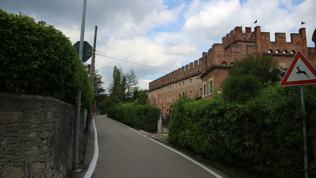 découvrez l'univers envoûtant de colombelle, un domaine viticole d'exception offrant des vins raffinés aux arômes uniques. plongez dans une expérience sensorielle inoubliable et savourez nos crus authentiques qui font la renommée de notre terroir.