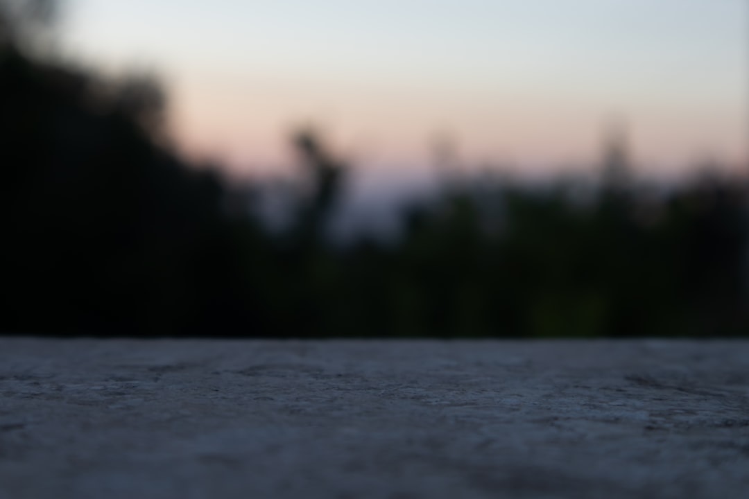 découvrez l'art de décanter vos vins pour en révéler toutes les saveurs. nos conseils vous guideront pour choisir le meilleur décanter et profiter pleinement de vos bouteilles, qu'il s'agisse d'un vin rouge prestigieux ou d'un blanc délicat.