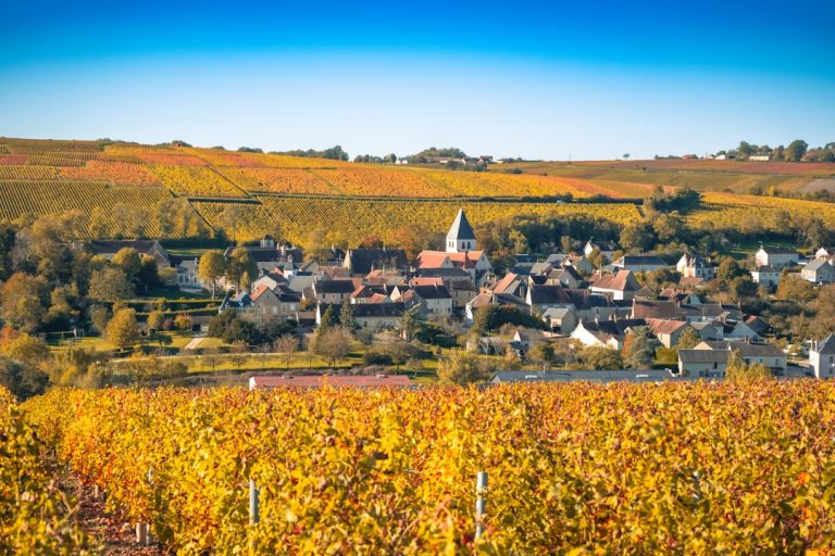 découvrez les vins de la vallée de la loire, une région viticole emblématique de france, célèbre pour ses paysages magnifiques et ses cépages diversifiés. explorez les saveurs uniques des vins blancs, rouges et rosés, tout en dégustant des produits locaux et en visitant des châteaux historiques.