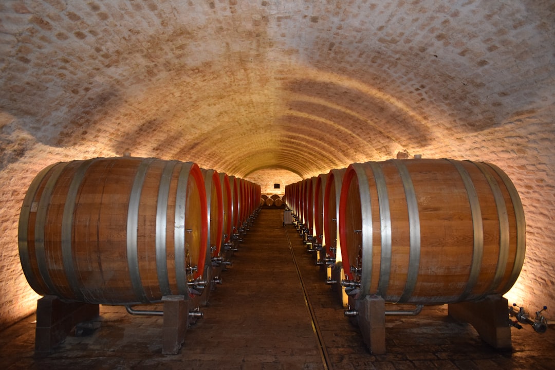 découvrez comment aménager une cave à vin idéale pour conserver vos bouteilles dans des conditions optimales. conseils d’experts, astuces de rangement et sélection des meilleurs équipements pour amateurs et passionnés de vin.