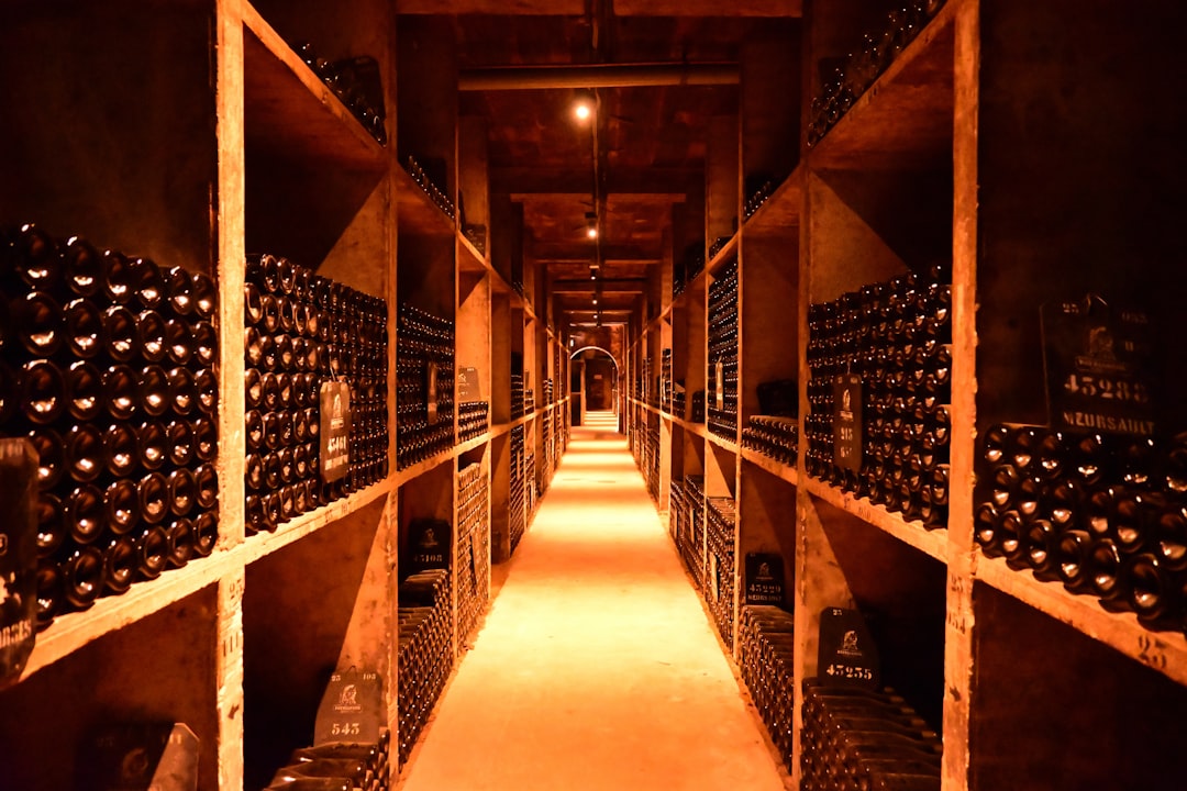 découvrez tout sur les caves à vin : conseils pour la conservation, aménagement, choix d’une cave à vin et astuces pour préserver vos bouteilles dans les meilleures conditions.