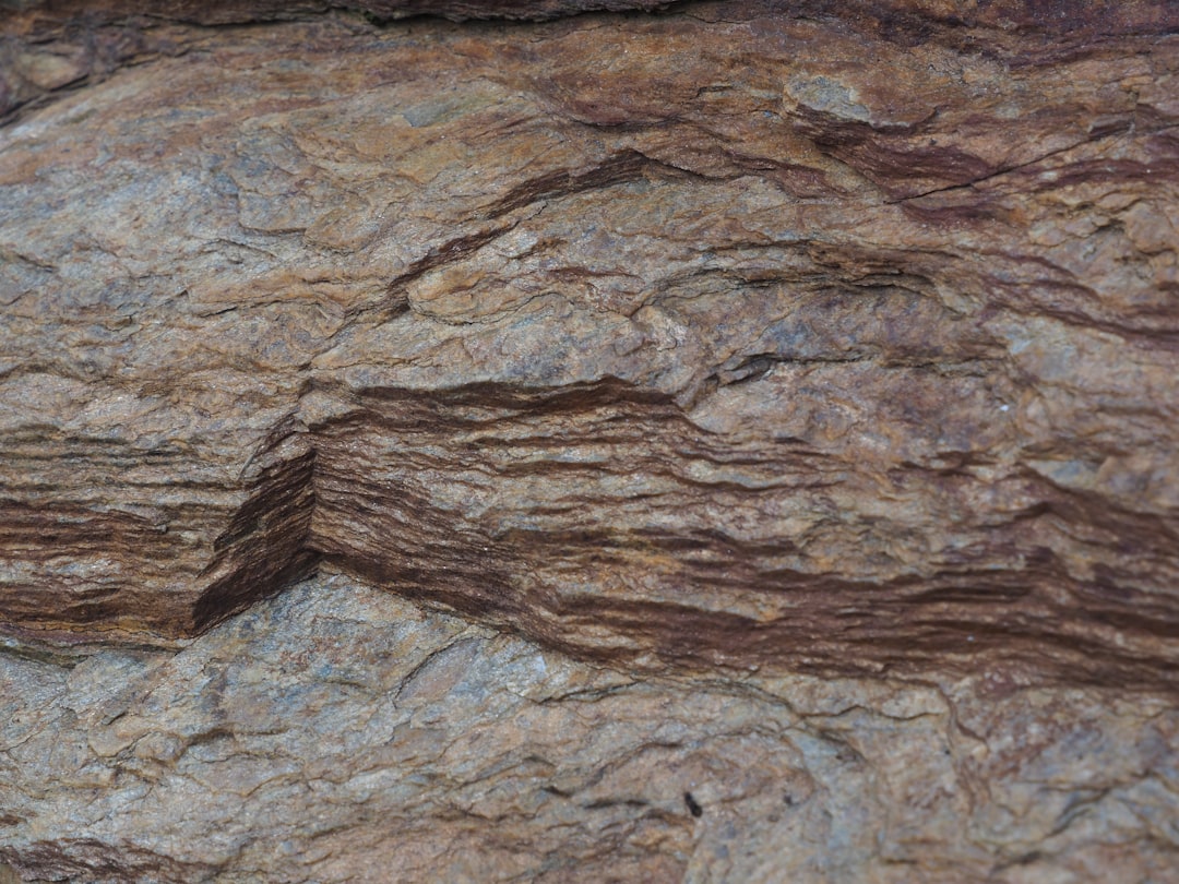 découvrez canerock, une destination de rêve en bord de mer offrant villas luxueuses, activités nautiques et détente sous les palmiers. idéal pour des vacances inoubliables en famille ou entre amis !