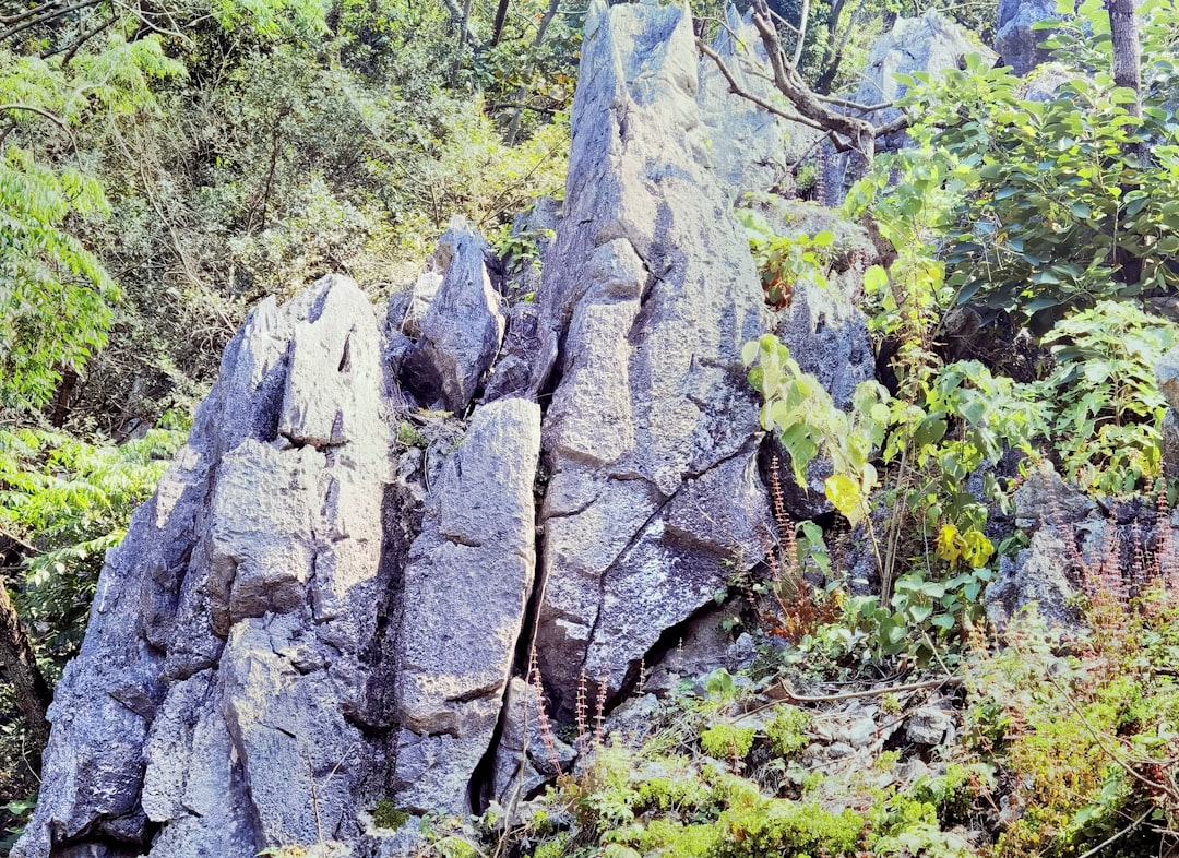 découvrez canerock, une destination idéale pour les voyageurs en quête de détente et d’aventure, offrant plages paradisiaques, hébergements de charme et activités nautiques dans un cadre naturel exceptionnel.
