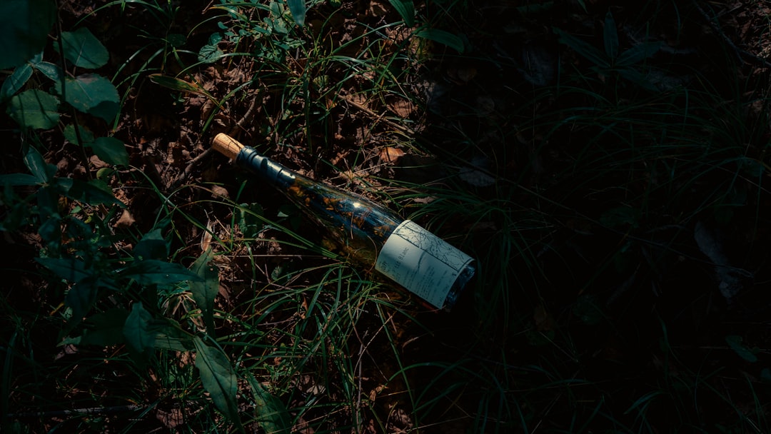 découvrez le vin naturel : une boisson authentique élaborée sans additifs, avec des raisins biologiques. explorez ses saveurs uniques et son engagement pour une viticulture respectueuse de l’environnement.