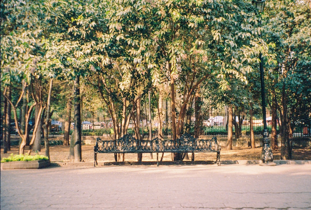 découvrez nikka, une maison japonaise emblématique de whisky, réputée pour son savoir-faire traditionnel et ses spiritueux d’exception alliant innovation et authenticité.