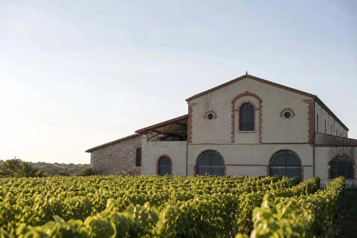 Vin labastide gaillac : façade de la Maison Labastide et vignes du vignoble de Gaillac