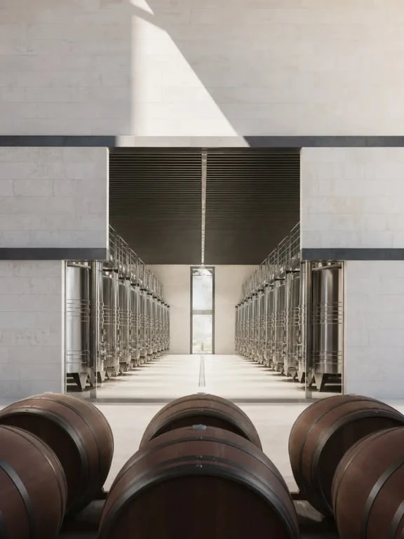 Bordeaux cave à vin dans un chai contemporain de Saint-Émilion